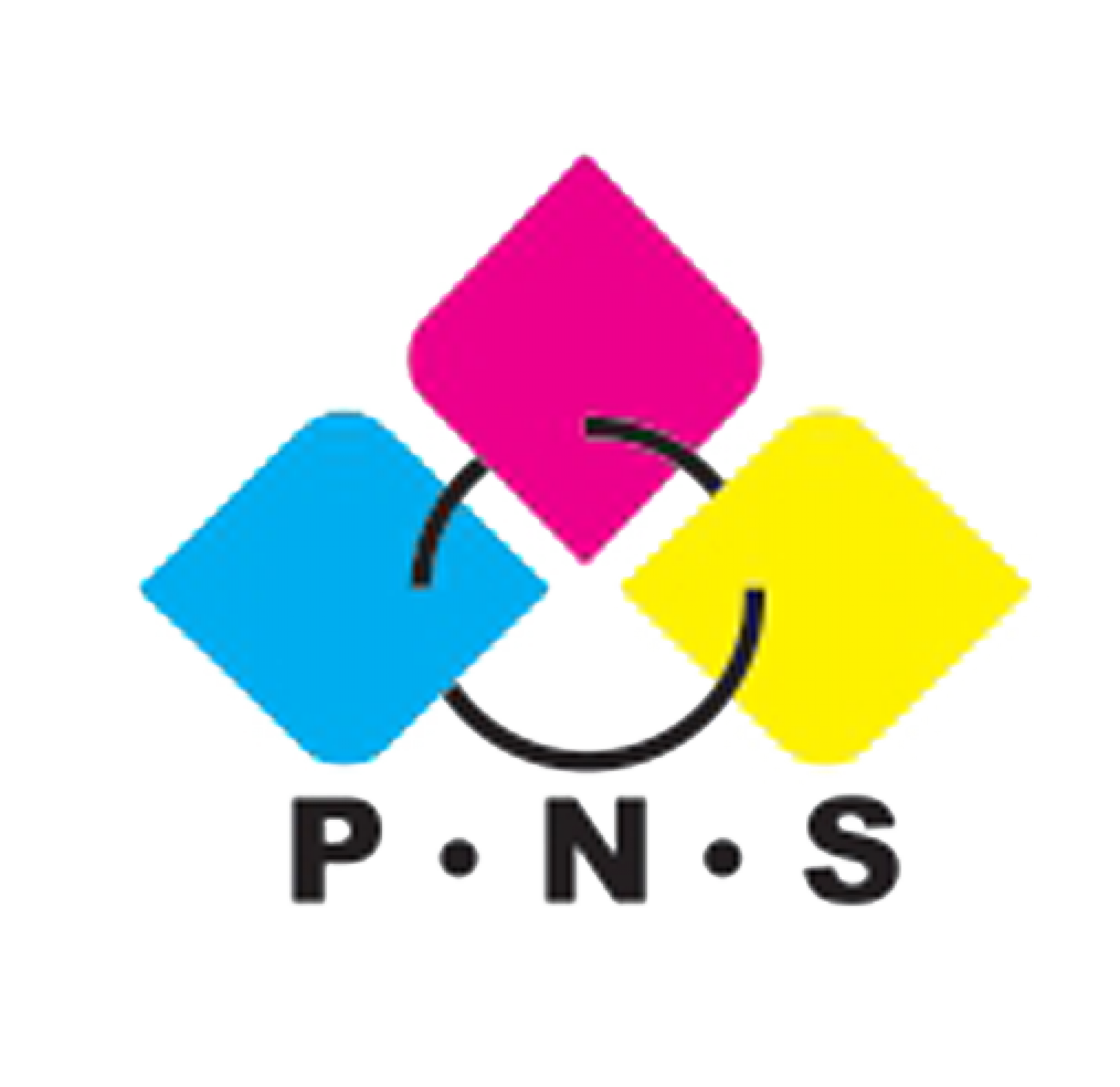 PT Putra Nugraha Sentosa